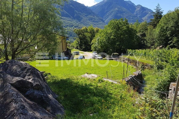 Costruisci la tua casa nel verde 5