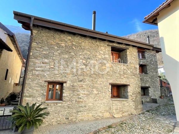 Bellissima, originale e con reddito garantito 4