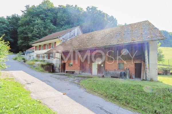 Schreiben Sie Ihre eigene Geschichte (teilweise im BGBB) 2