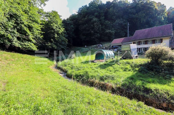 Schreiben Sie Ihre eigene Geschichte (teilweise im BGBB) 3