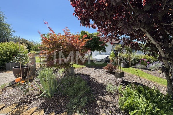 Magnifique maison mitoyenne dans le Jura 3