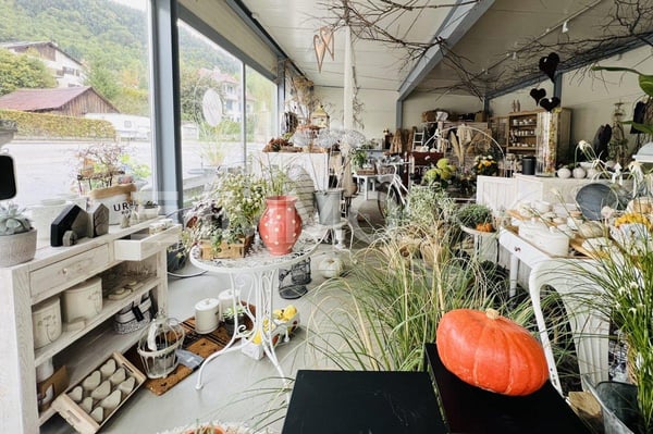 Investissez dans ce magnifique immeuble de rendement 5