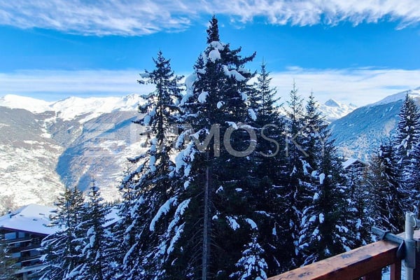 Vorschaubild der Immobilie