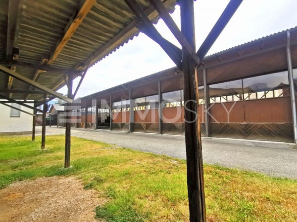 Capannone interessante con possibilità di edificare 7