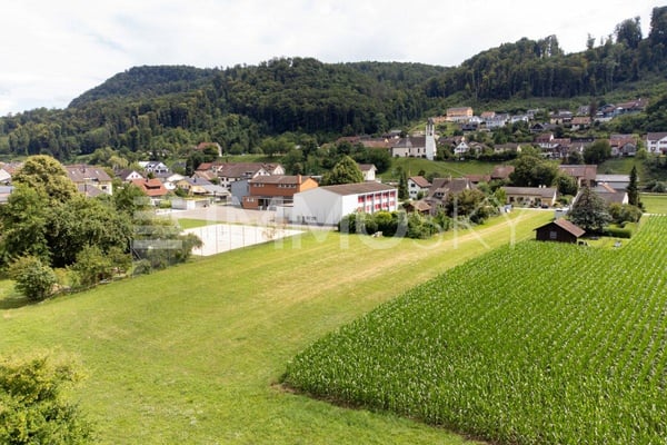 Ein Ort voller Potenzial und grüner Vielfalt 4