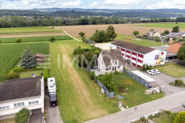 Ein Ort voller Potenzial und grüner Vielfalt 3