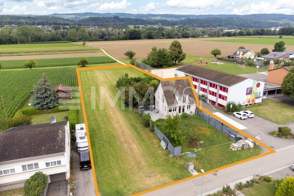 Ein Ort voller Potenzial und grüner Vielfalt 6