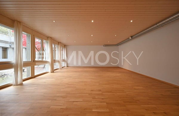 Loft mit Gewerbeanteil und Industrieflair 4