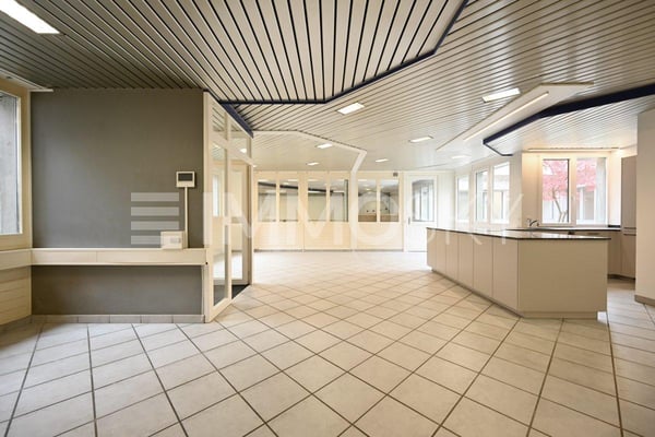 Loft mit Gewerbeanteil und Industrieflair 3