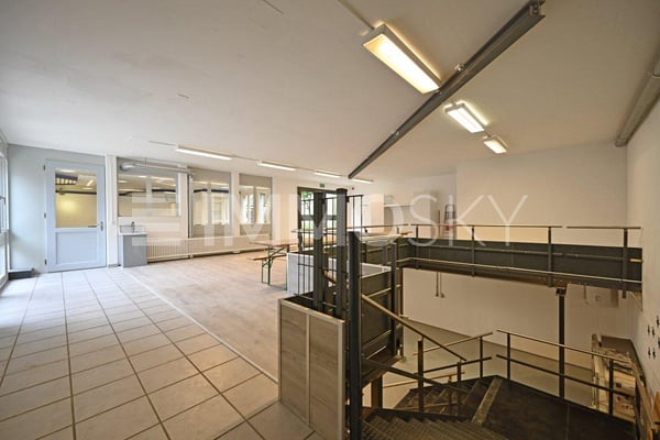 Loft mit Gewerbeanteil und Industrieflair 6