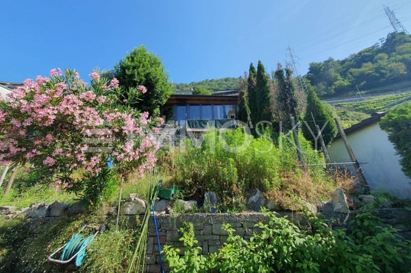 Oasi da rinnovare: Investimento redditizio con potenziale infinito 7