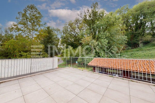 Da gestire o a reddito quale attività redditizia ! 4