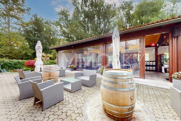 Da gestire o a reddito quale attività redditizia ! 5