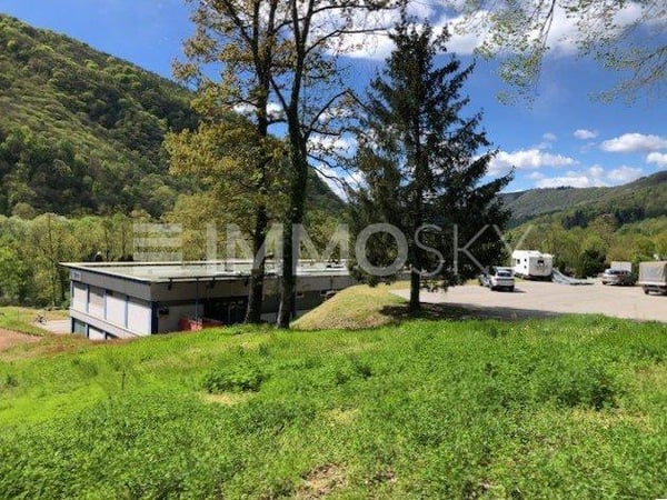 Rendimento garantito, attendo l'investitore giusto 6