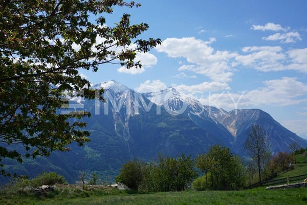 1.5Zi mit Terrasse und Aussicht (Nr. 11a) 3