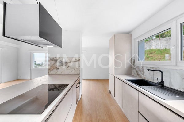 Maison individuelle rénovée 1.5 pces avec vue lac à 8 minutes de Vevey 3