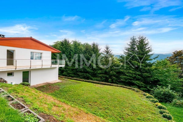 Maison individuelle rénovée 1.5 pces avec vue lac à 8 minutes de Vevey 10