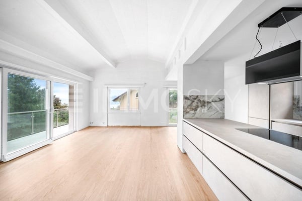 Maison individuelle rénovée 1.5 pces avec vue lac à 8 minutes de Vevey 4