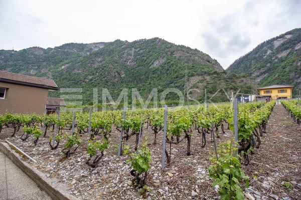 Faites-vous plaisir en construisant votre rêve 1