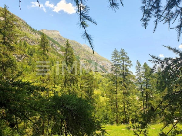 Bauland neben der Skipiste 5