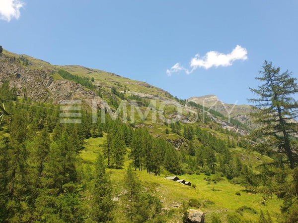 Bauland neben der Skipiste 4