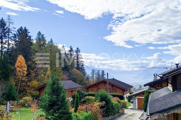 Rare, à deux pas de Crans-Montana (A1) 5