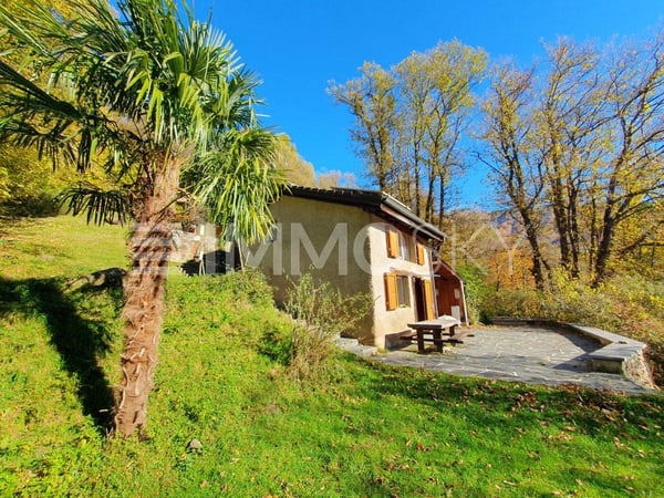 Oasi di tranquillità a Scareglia 1