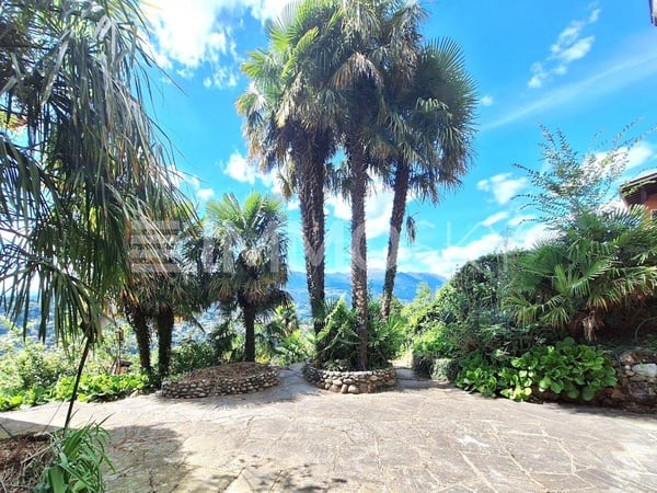 Piscina, giardino e ambienti luminosi 1