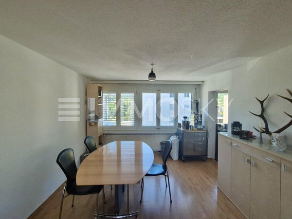 Angenehme Wohnlage mit Blick auf das Schloss 3