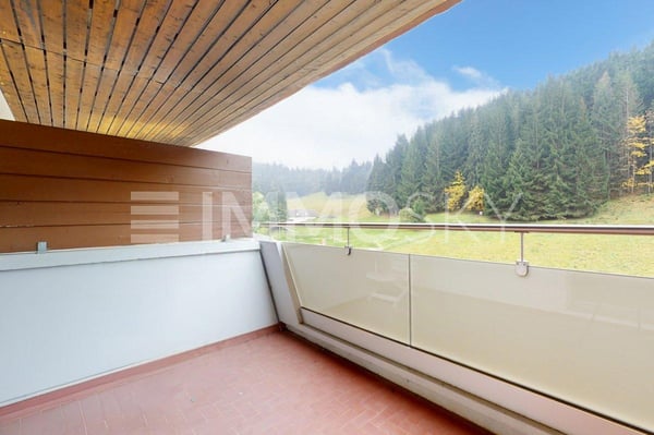 Appartement de 1.5 pièces au pied des Portes du Soleil 2