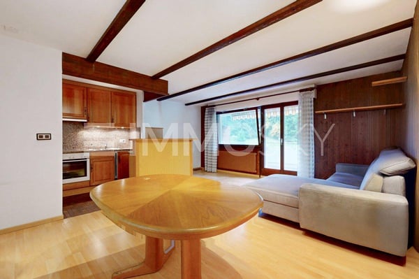 Appartement de 1.5 pièces au pied des Portes du Soleil 3