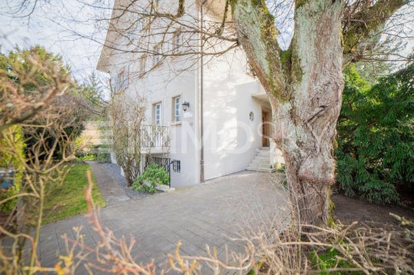 Ihr repräsentatives Büro für grosse Pläne 1