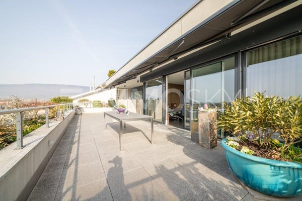 Exklusive Terrassenwohnung in Gampelen 6