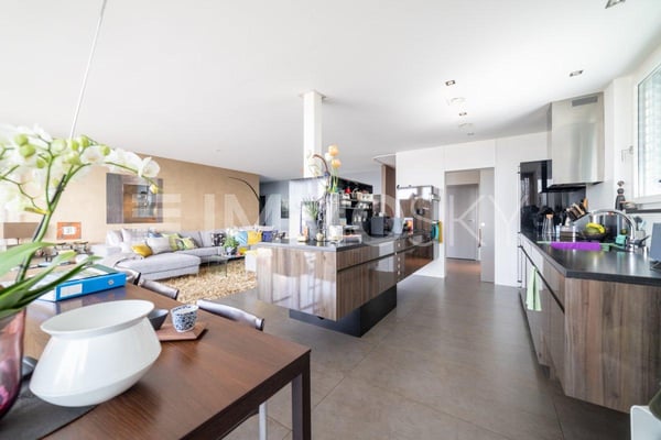 Exklusive Terrassenwohnung in Gampelen 1