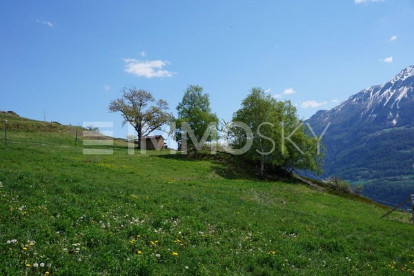 4.5Zi mit Terrasse und Aussicht (Nr. 11a) 4
