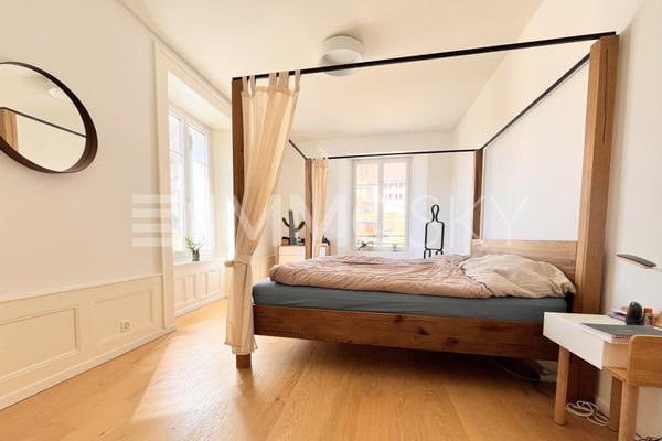 Spacieux appartement de charme 4