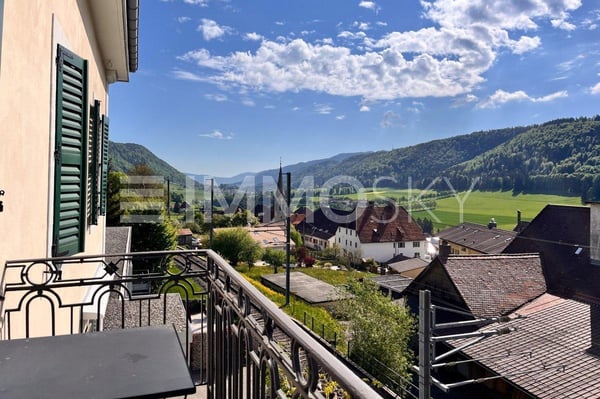 Spacieux appartement de charme 7