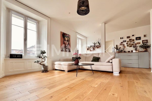 Spacieux appartement de charme 1