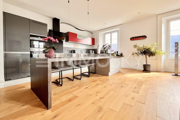 Spacieux appartement de charme 3