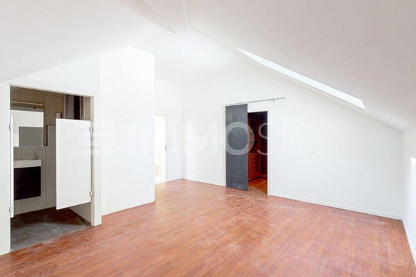 Superbes volumes, maison à deux logements 6