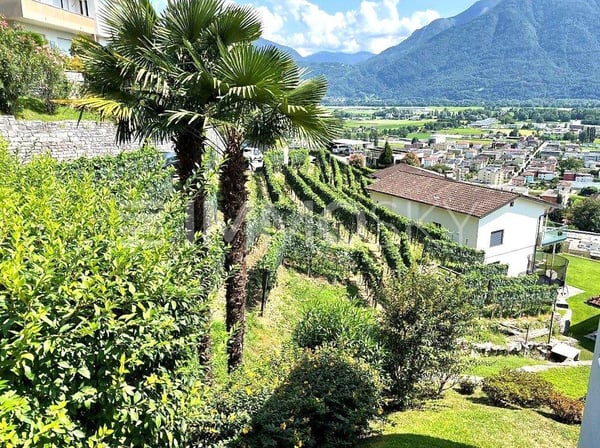 Vista lago e soleggiamento totale 3