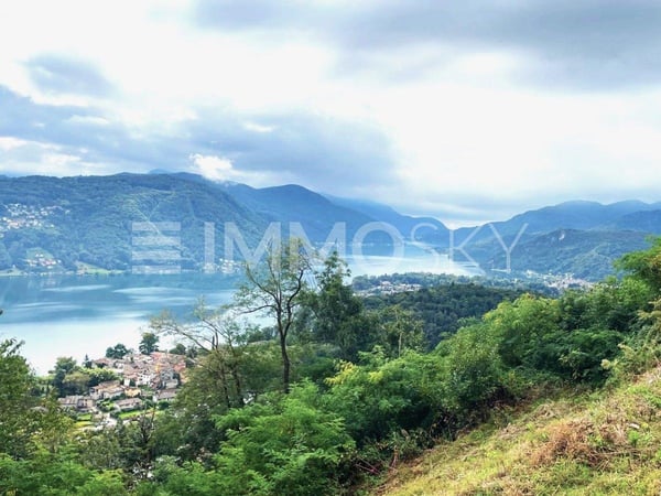 Panorama stupendo e licenza approvata 2