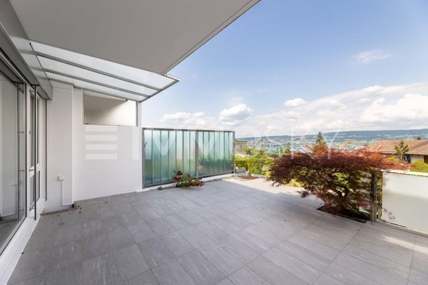 Ihr neues Zuhause mit Panoramasicht von Zürich bis in die Alpen 5