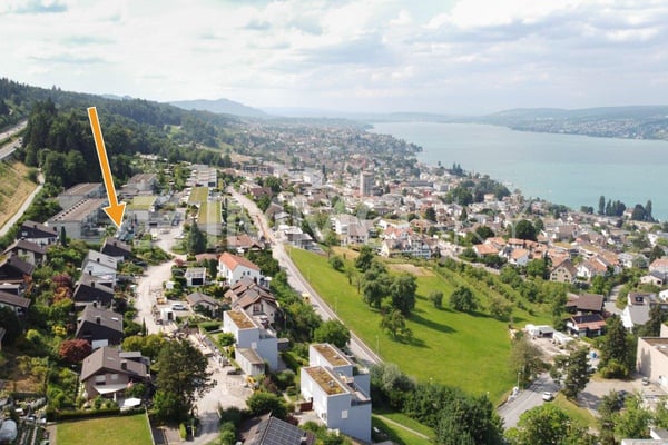Ihr neues Zuhause mit Panoramasicht von Zürich bis in die Alpen 1