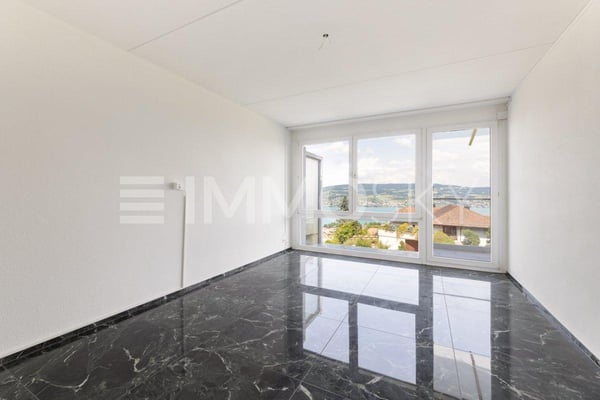 Ihr neues Zuhause mit Panoramasicht von Zürich bis in die Alpen 3
