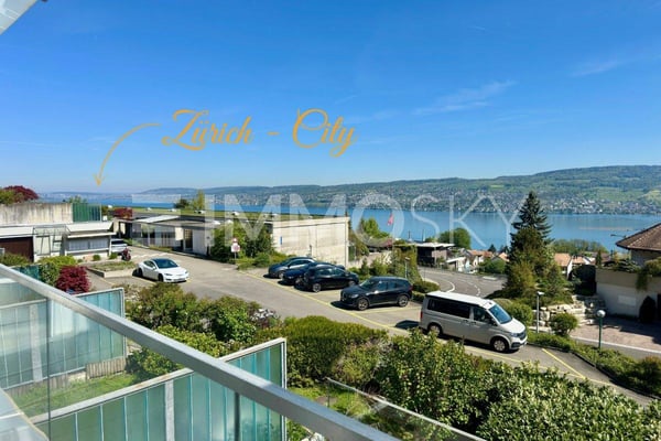 Ihr neues Zuhause mit Panoramasicht von Zürich bis in die Alpen 2