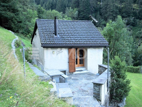Per le tue vacanze nella natura tra sole e privacy 1