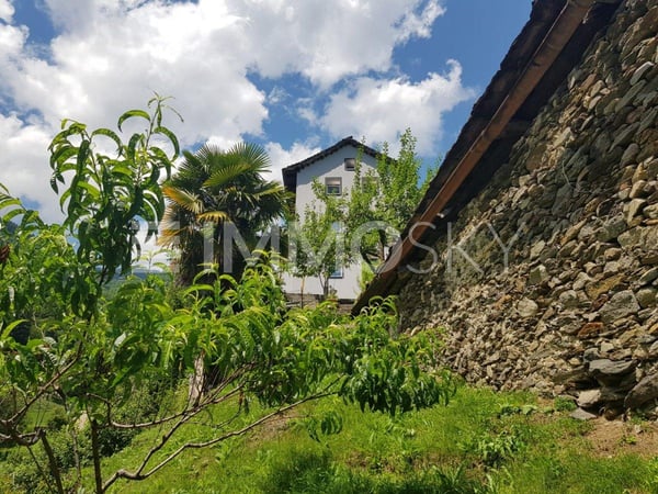 Vivendo a diretto contatto con la natura 5