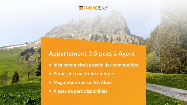 3.5 pièces neuf à vendre à Ayent 1