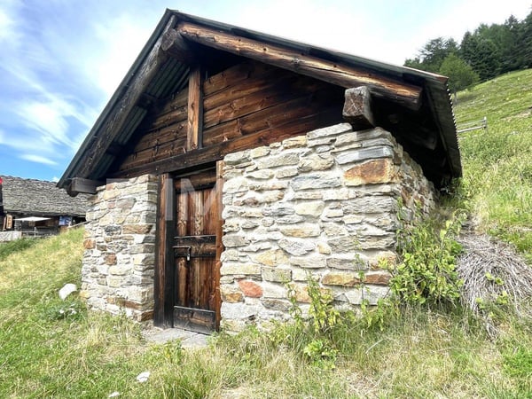 Pace, sole e tranquillità 7